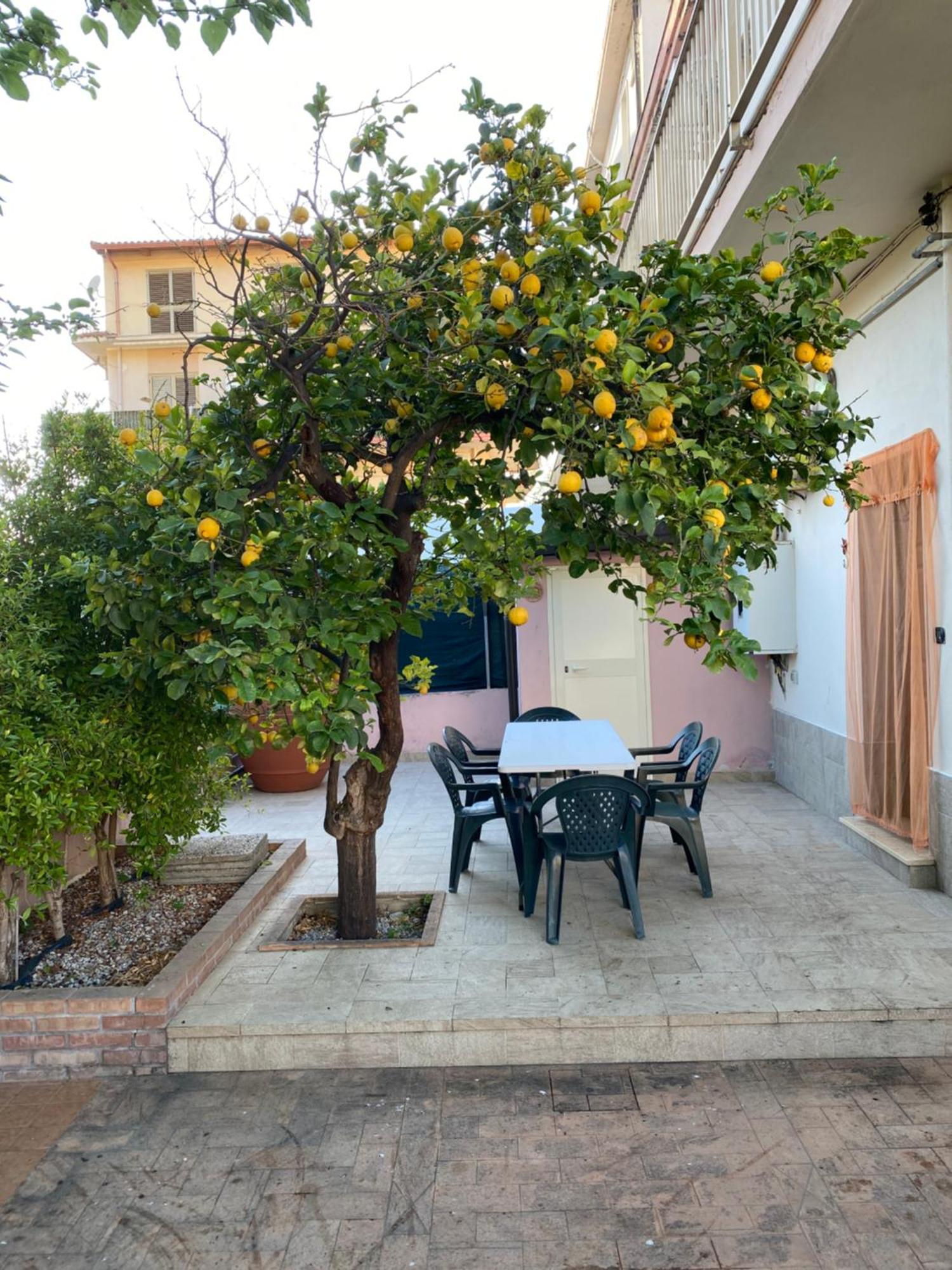 L'Albero Di Limoni Sul Mare Di Pizzo Villa Exterior photo