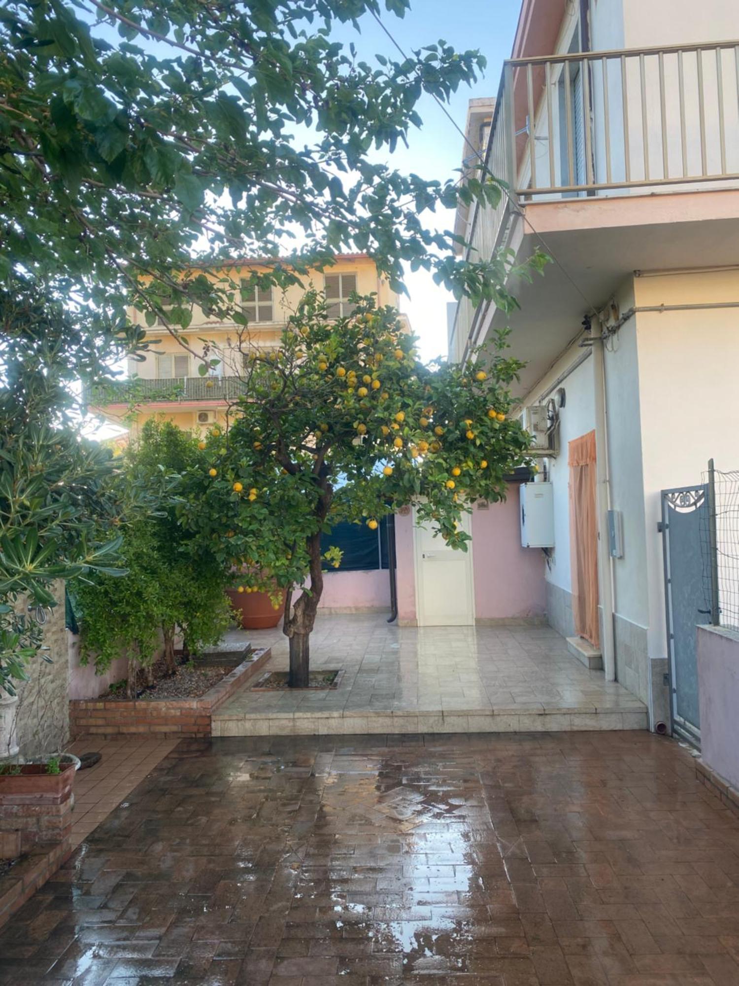 L'Albero Di Limoni Sul Mare Di Pizzo Villa Exterior photo