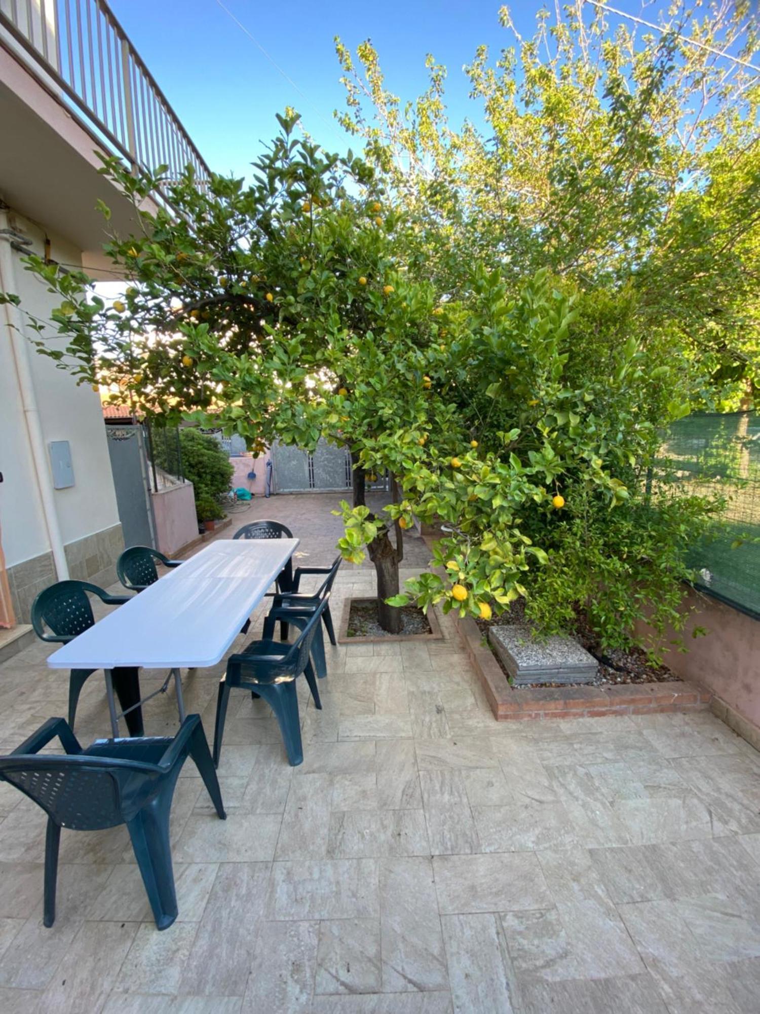 L'Albero Di Limoni Sul Mare Di Pizzo Villa Exterior photo
